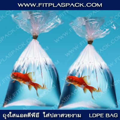ถุงพีอี ถุงเย็น ( LDPE ) ถุงพีอี ถุงเย็น ( LDPE )